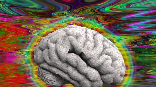 Psychedelic Brain