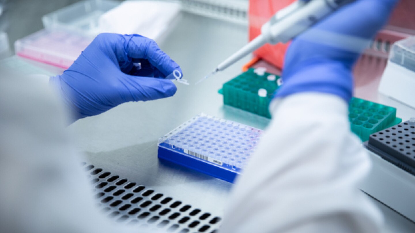 Pictured: Blue-gloved hands pipetting liquid/iSto