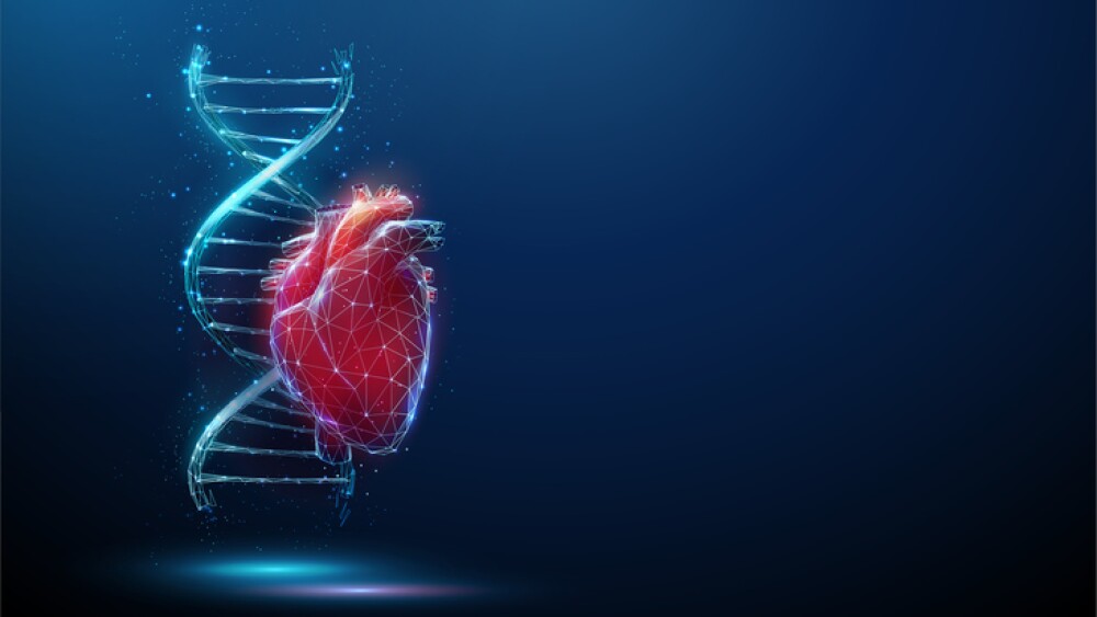 Blue DNA molecule helix with red human heart. Hereditary heart diseases, diagnosis of genetic diseases concept. Gene editing, biotechnology engineering. Low poly style Wireframe light structure Vector