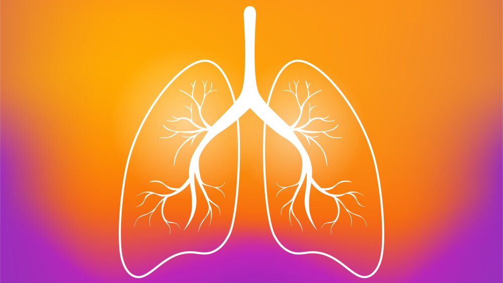 Lung organ anatomy symbol for health and medical illustrations. vector, illustration.