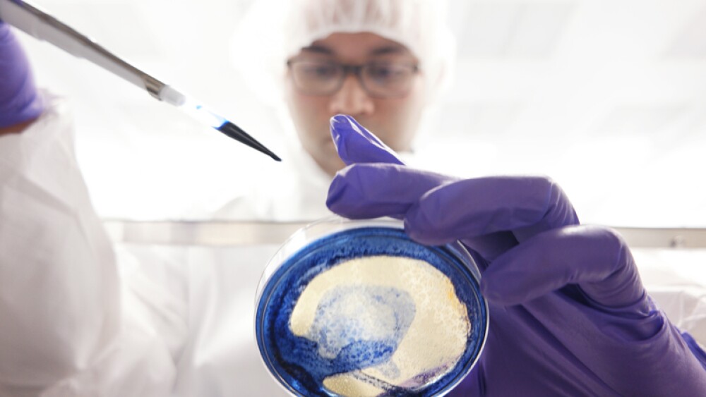 Enumeral Biomedical Gets Evicted as it Winds Down Operations