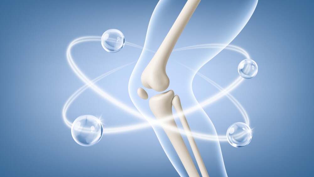 Knee