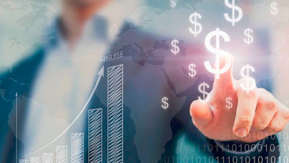 Investor