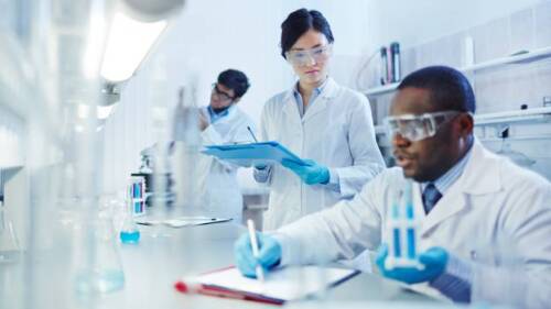 Pictured: Scientists working in laboratory/Getty I