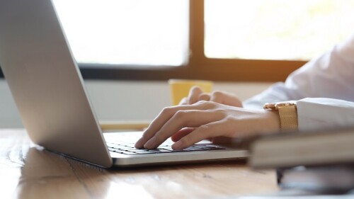 Photo shows woman typing on laptop/courtesy Vectee