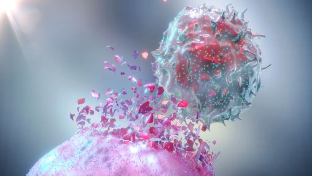 Shawn Leland_Elevation Oncology, Ray Lee_Teclison