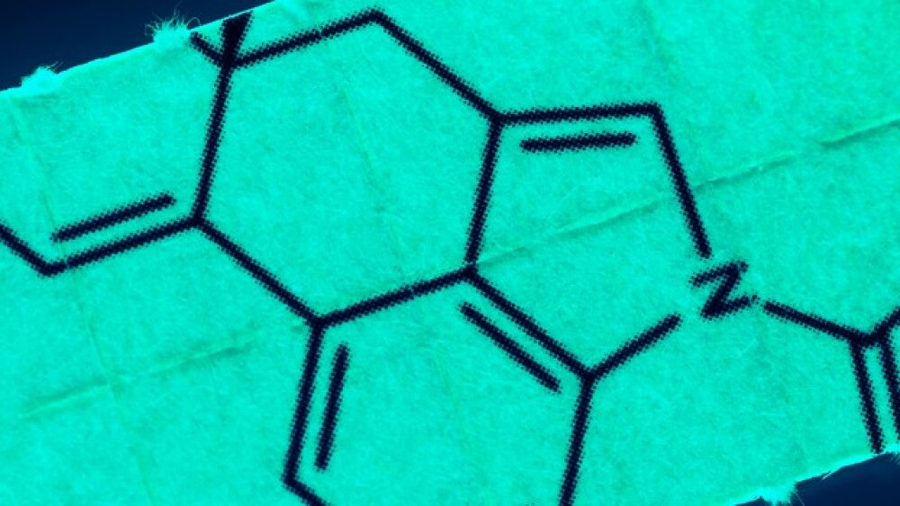 Pictured: Pieces of paper with chemical structures