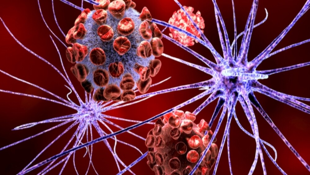 Genentech shared the 12 month data of risdiplam.