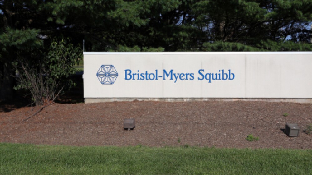 Katherine Welles / Shutterstock