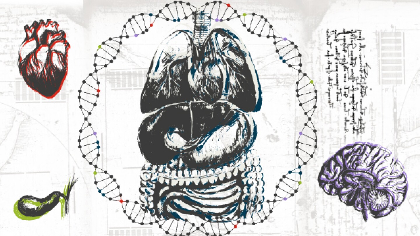 Pictured: A collage of medical notes and anatomy/N