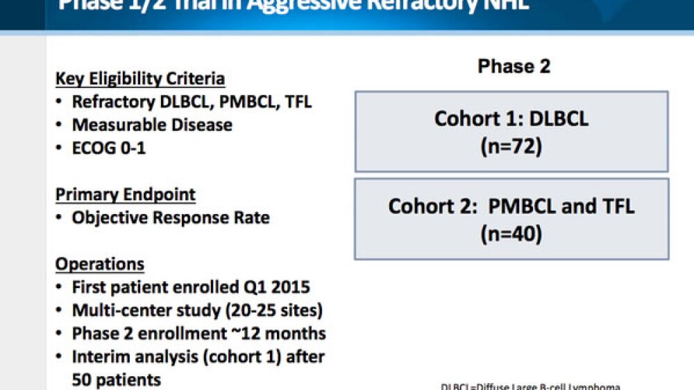 BIOCEO15: BIOCEO15: Kite Pharma Debuts Near-Term Plans, Says It’s Tackling Toxicity Issues
