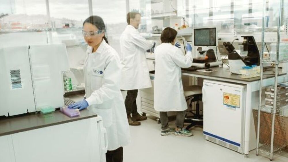 Sana employees, pictured in a company laboratory,
