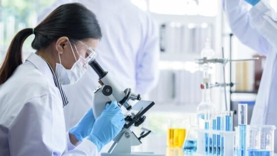 Scientist I, Scientist II and Senior Scientist Roles, Explained - BioSpace