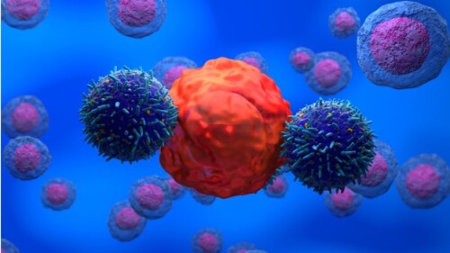 CAR-T Cells attacking a cell on a blue background
