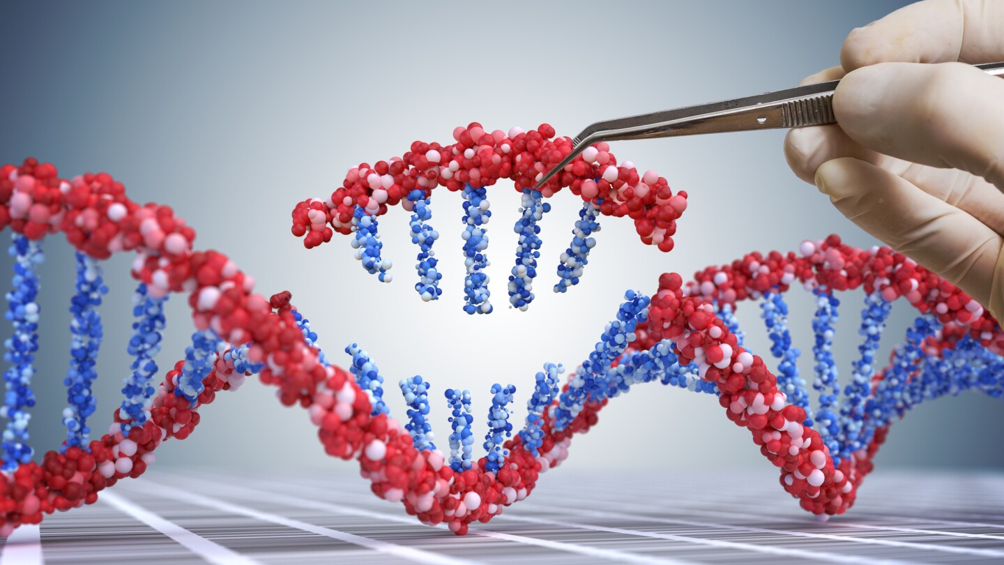 3D concept photo of gene editing showing a tweezers inserting a DNA fragment into a larger strand