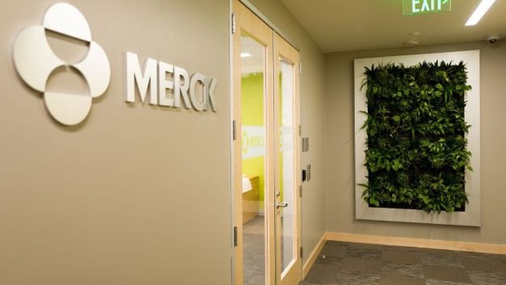 Smith Collection/Gado/Getty Images