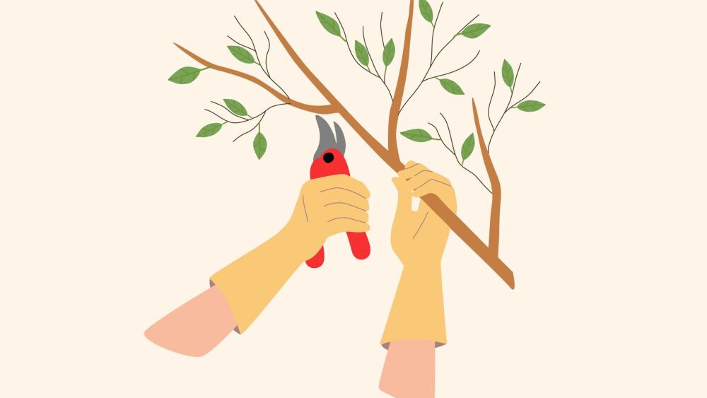Pruning tree branches. Gloved hands hold a branch and cutting shears, the gardener takes care of the park. Vector illustration.