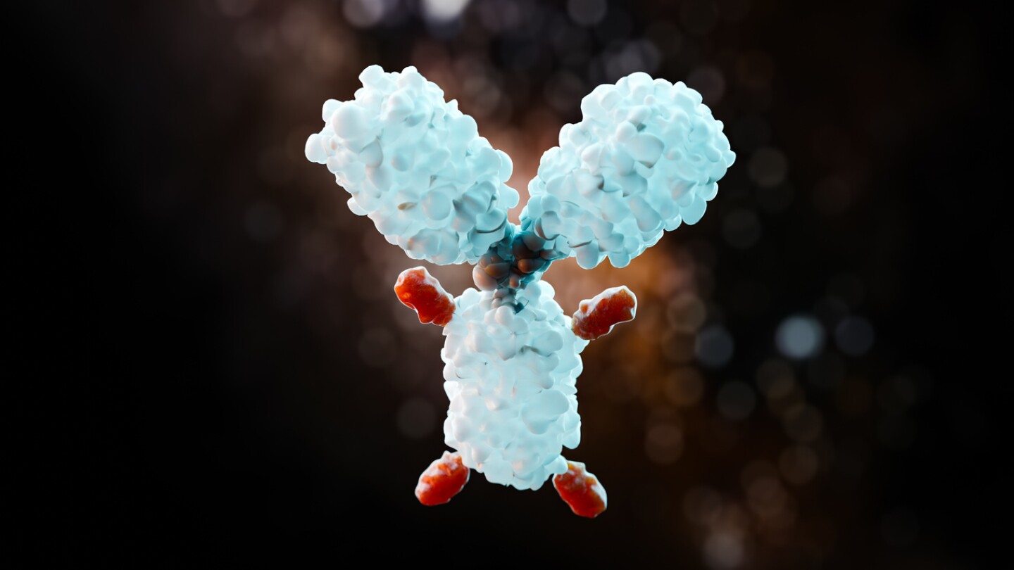 3D illustration of an antibody-drug conjugate