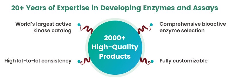 SignalChem has 20+ years of expertise in developing enzymes and assays