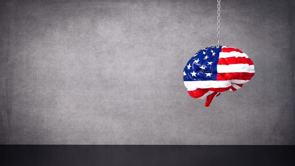 Stress and Pain in America - Brain shape