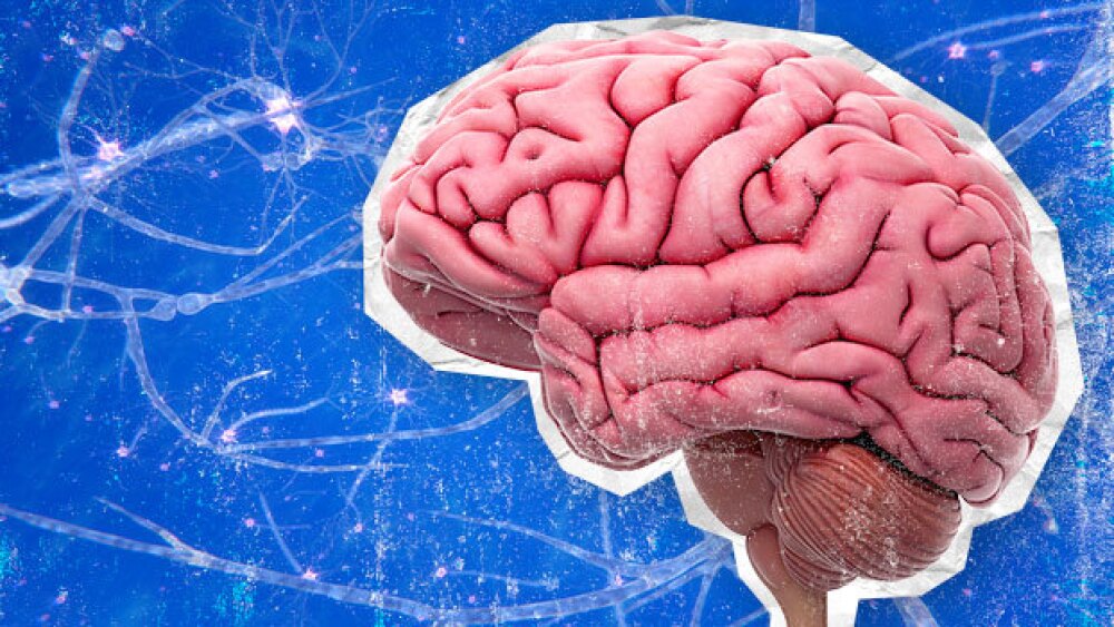 Pictured: Illustration of a brain over a neuron ba