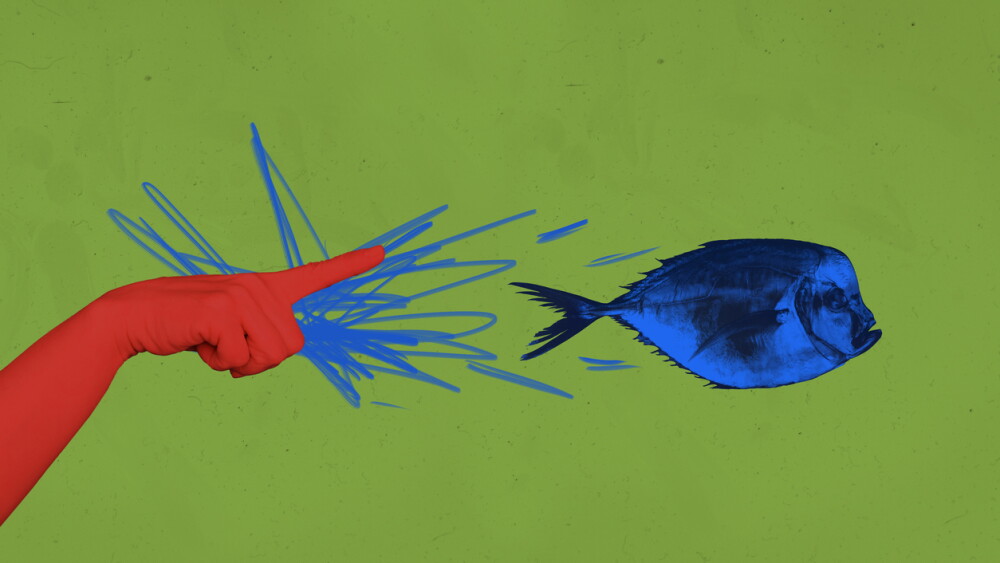 3d poster image full pop art collage of human hand point wild fauna fish swim underwater natural habitat explore journey.