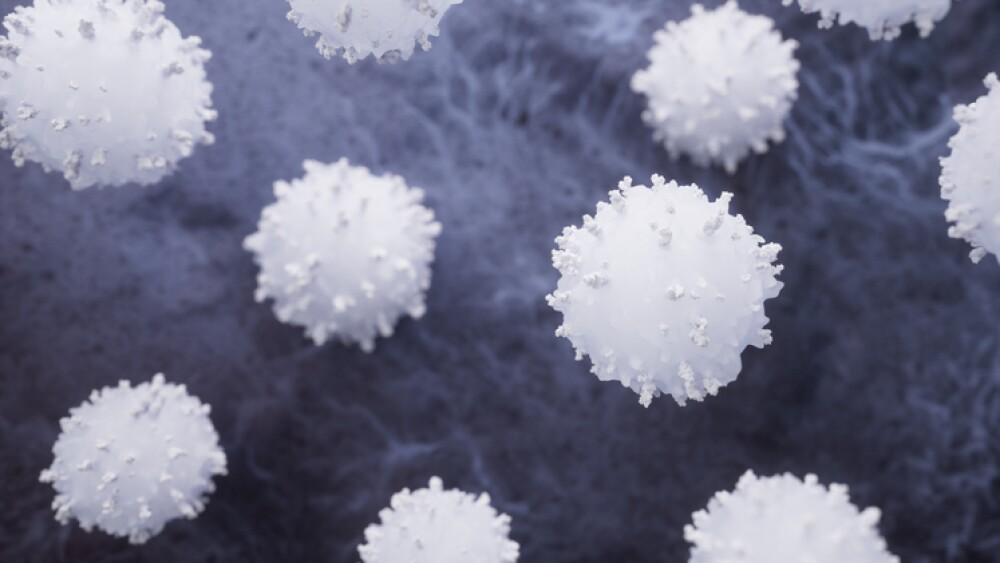 illustration of lymphocytes