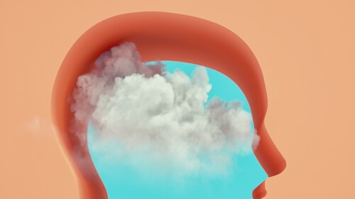 Silhouette of a head with a cloud. Thought in the head of man. This is a 3d render illustration